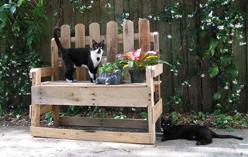 bench with cats-product.JPG